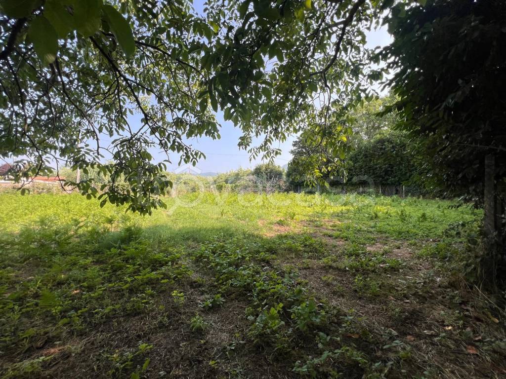 immagine annuncio 3 di 7