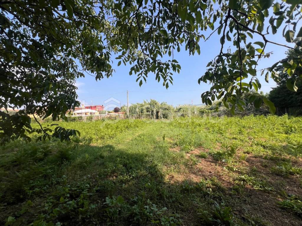 immagine annuncio 4 di 7