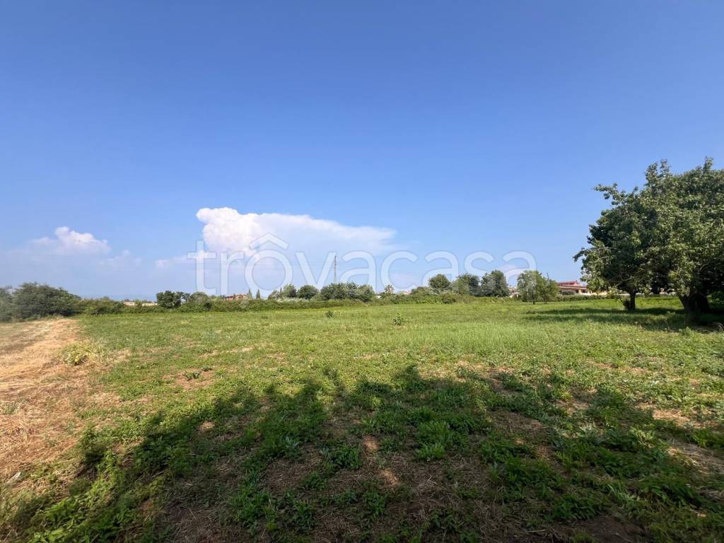 immagine annuncio 6 di 7