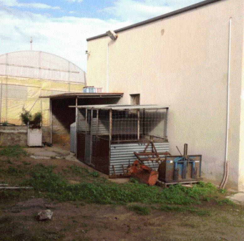 immagine annuncio 6 di 10