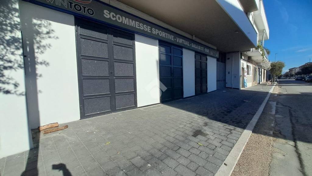 immagine annuncio 2 di 14