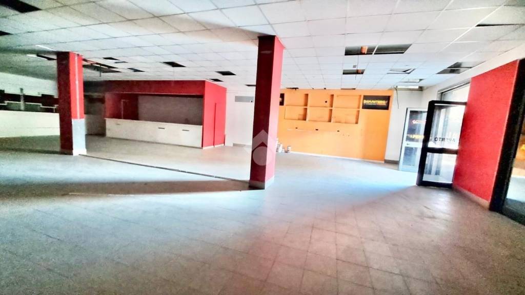 immagine annuncio 11 di 14