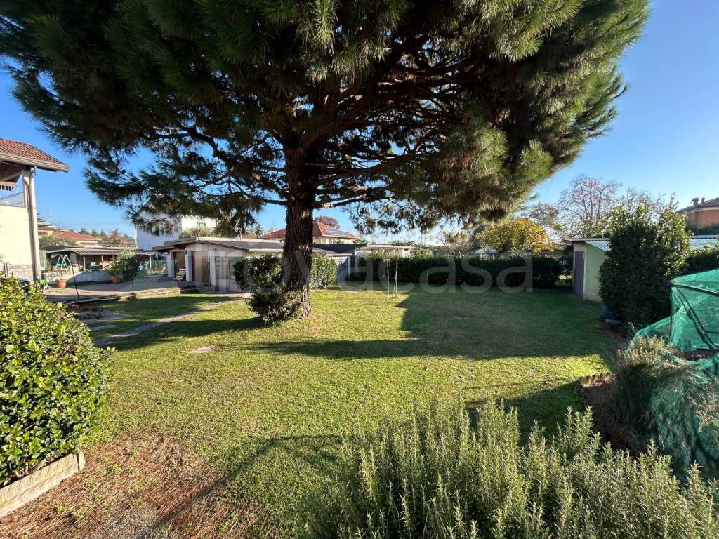 immagine annuncio 5 di 15