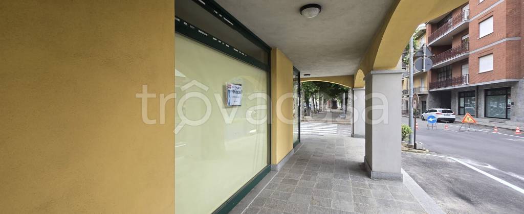 immagine annuncio 5 di 14