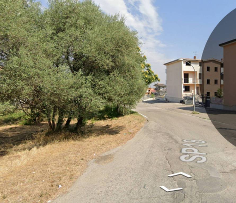 immagine annuncio 7 di 10