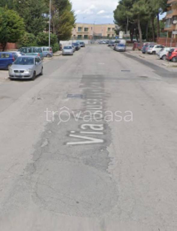 immagine annuncio 5 di 11