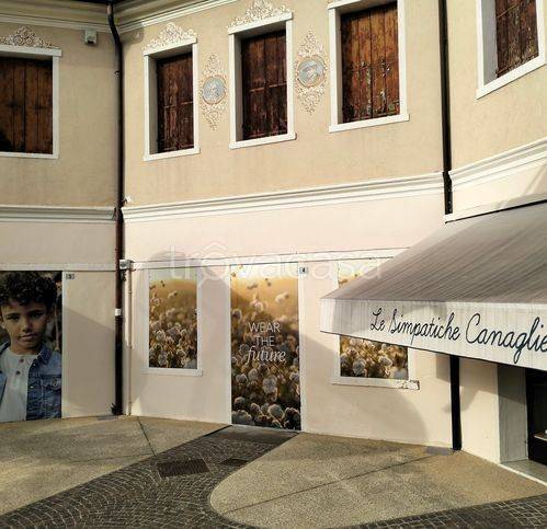 immagine annuncio 1 di 14