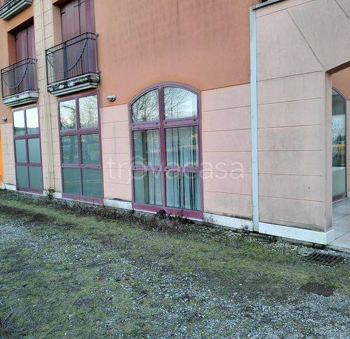 immagine annuncio 1 di 12