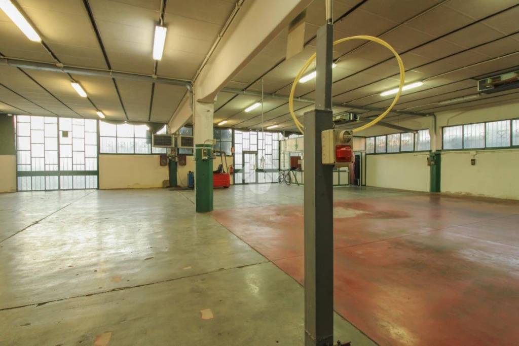 immagine annuncio 10 di 15