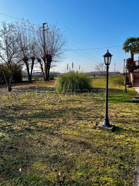 immagine annuncio 7 di 8