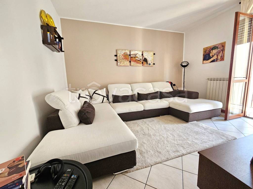 immagine annuncio 7 di 15