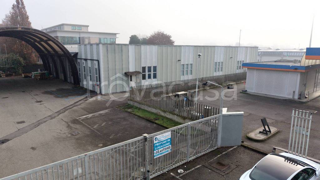 immagine annuncio 4 di 15