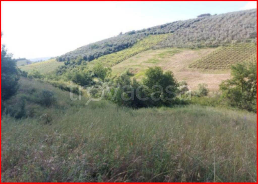 immagine annuncio 4 di 11