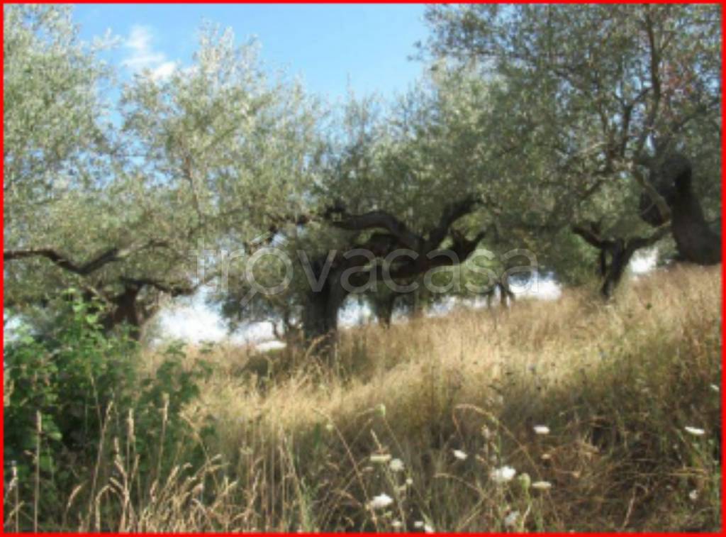 immagine annuncio 6 di 11