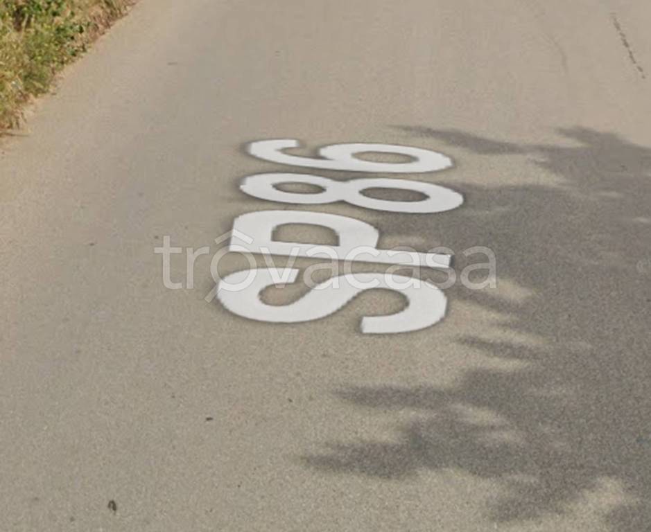 immagine annuncio 7 di 13