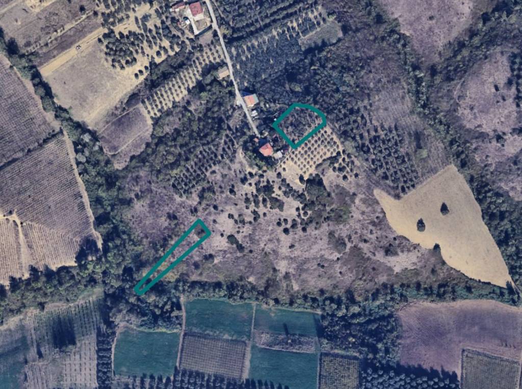 immagine annuncio 10 di 11