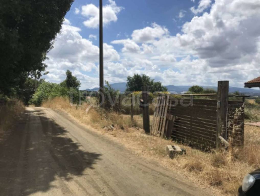 immagine annuncio 8 di 12