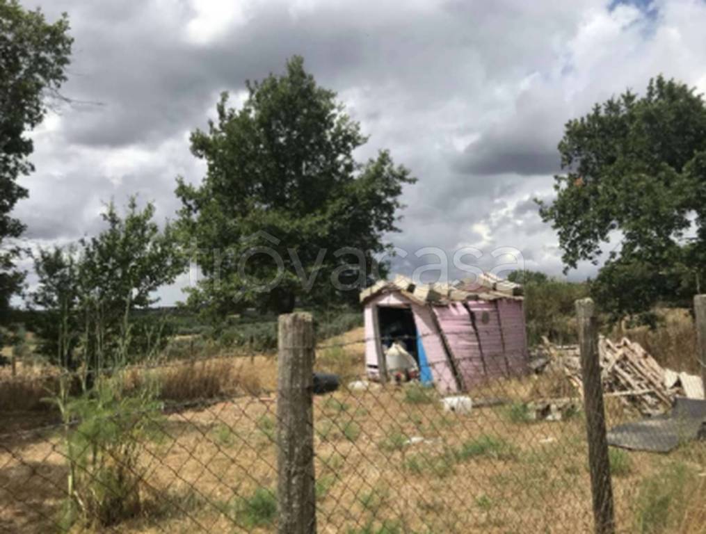 immagine annuncio 9 di 12