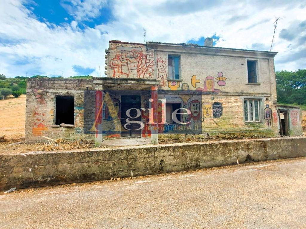 immagine annuncio 1 di 13