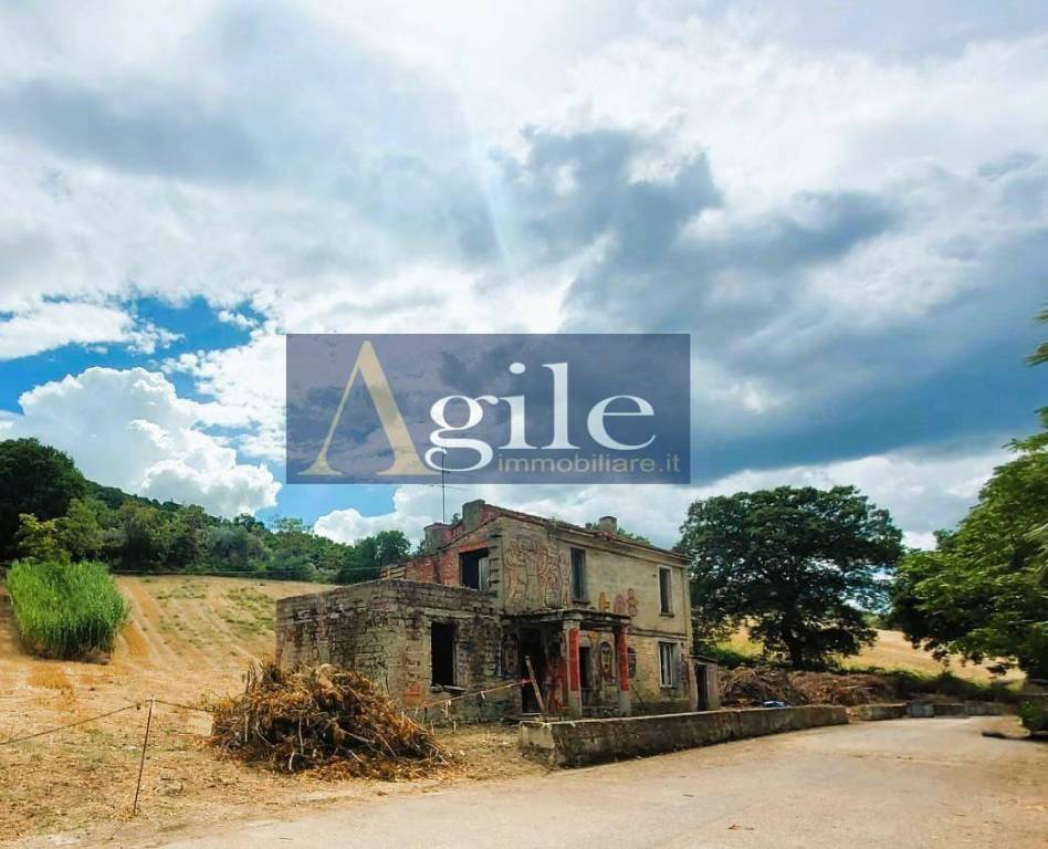 immagine annuncio 5 di 13