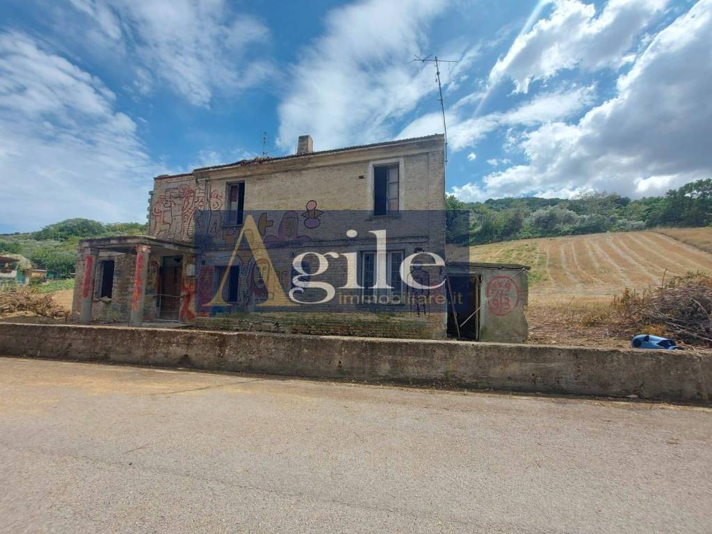 immagine annuncio 10 di 13