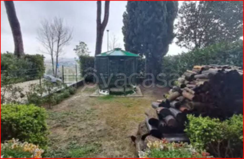 immagine annuncio 5 di 14