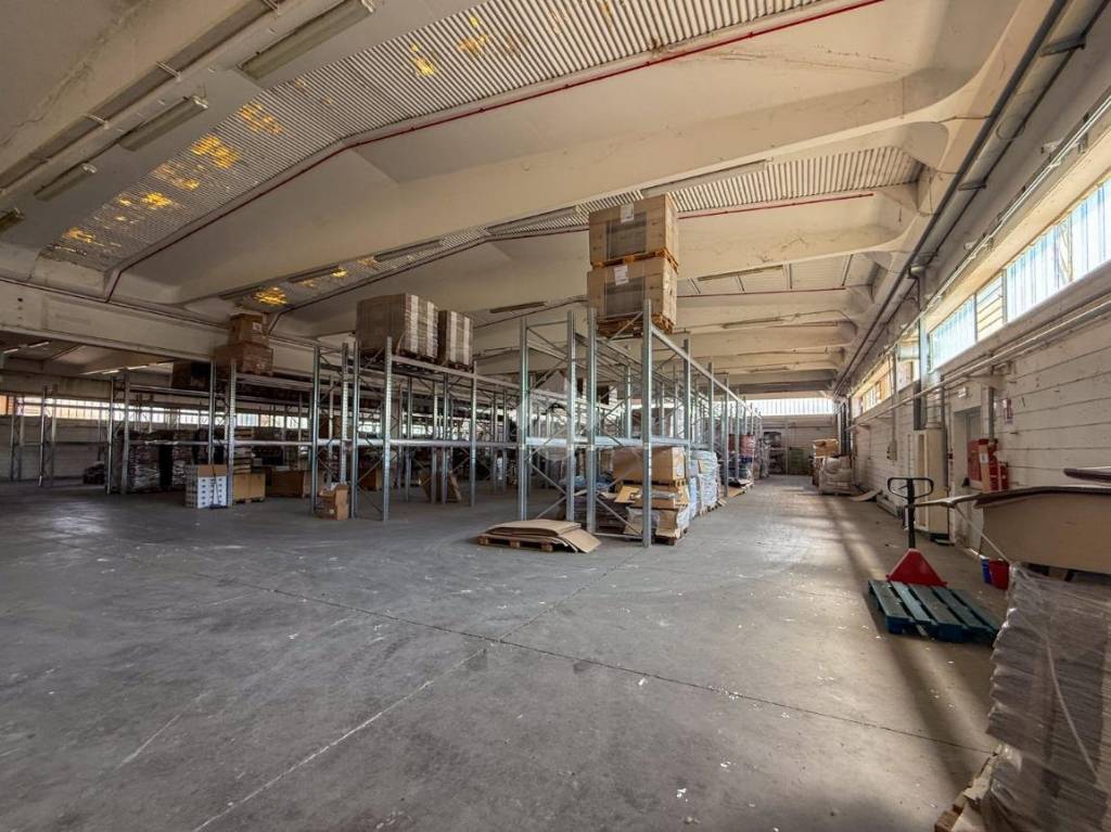 immagine annuncio 9 di 15