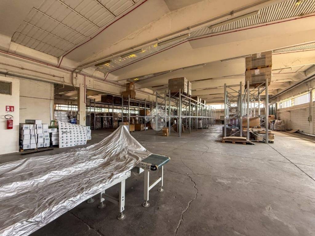 immagine annuncio 10 di 15