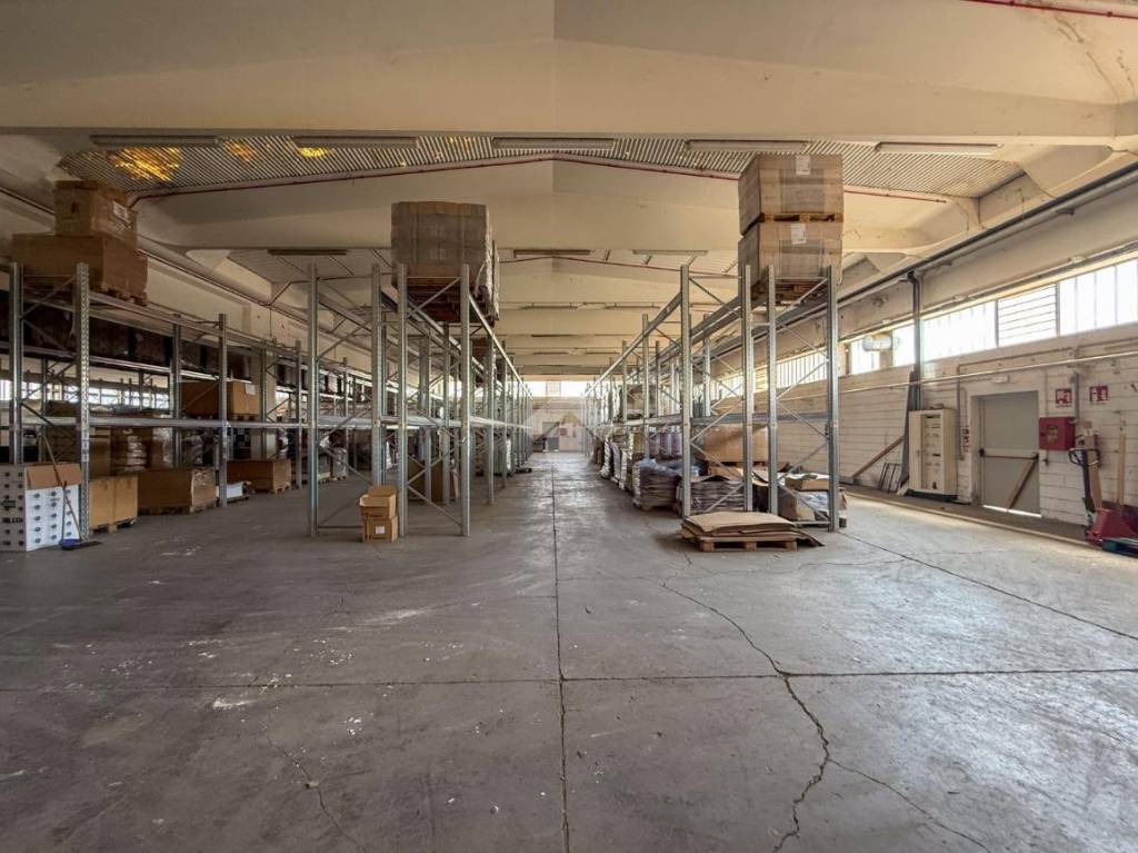 immagine annuncio 14 di 15