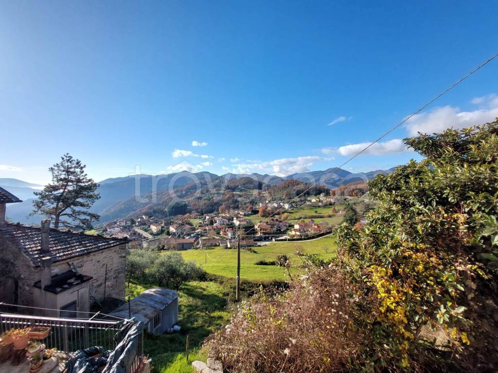 immagine annuncio 10 di 14