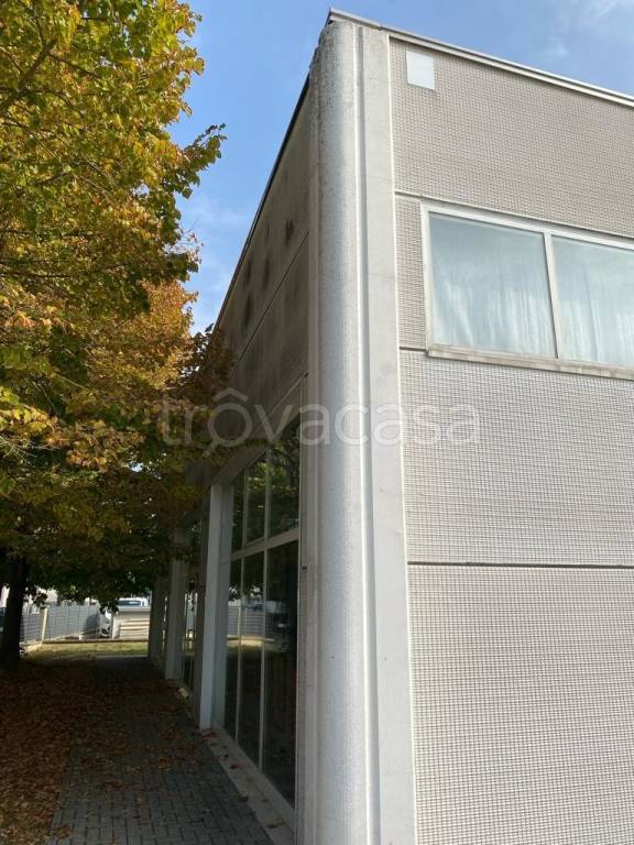 immagine annuncio 2 di 4