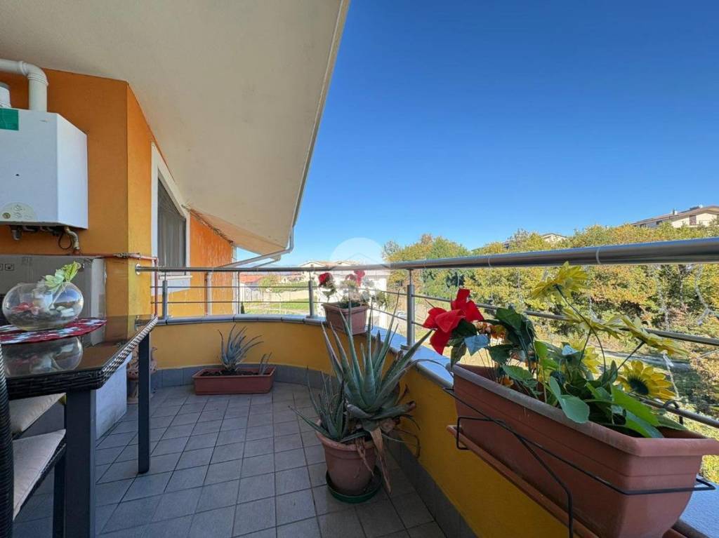 immagine annuncio 7 di 15