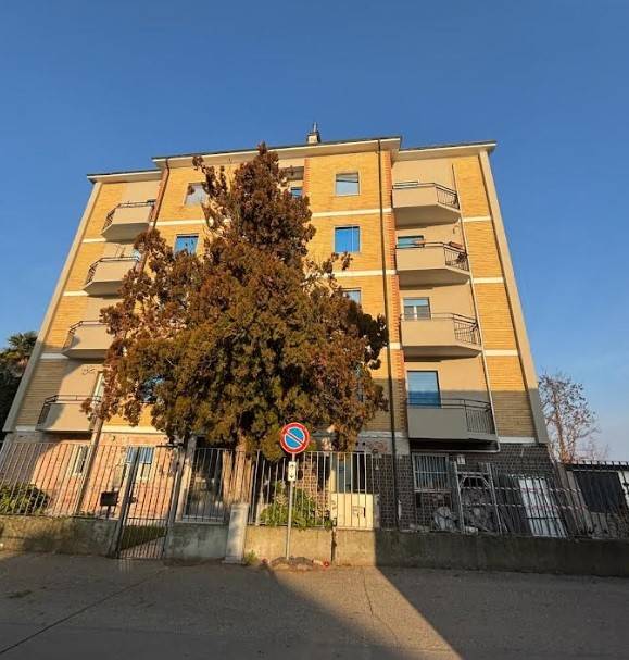 immagine annuncio 1 di 14