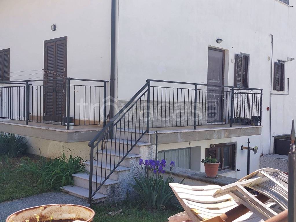 immagine annuncio 4 di 12