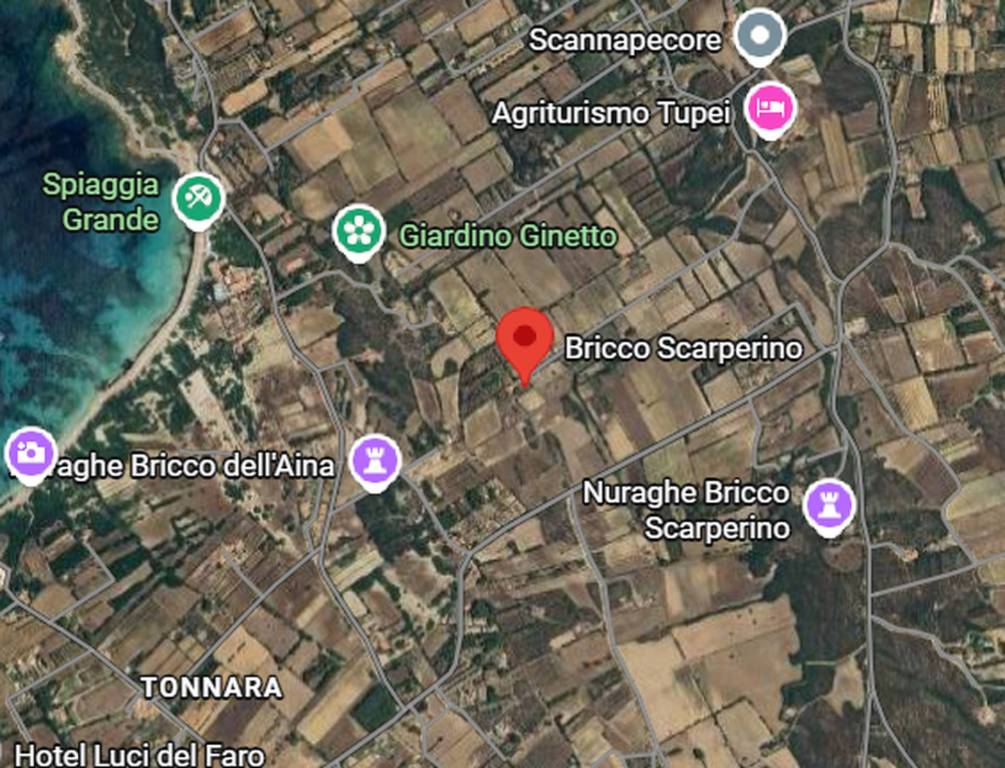 immagine annuncio 2 di 9