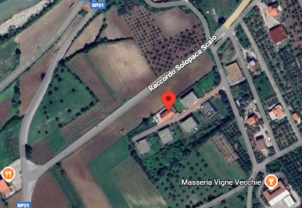 immagine annuncio 2 di 11