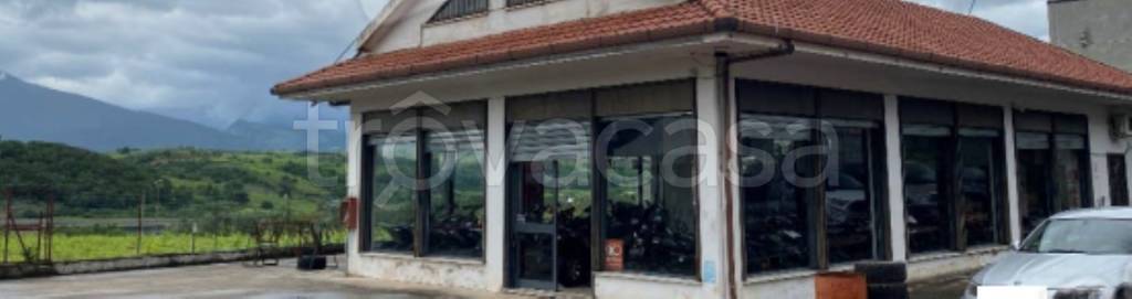 immagine annuncio 3 di 11