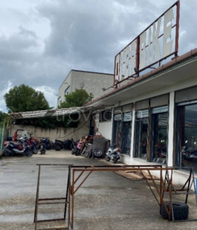 immagine annuncio 4 di 11