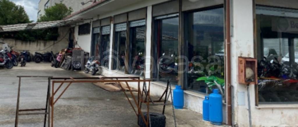 immagine annuncio 5 di 11