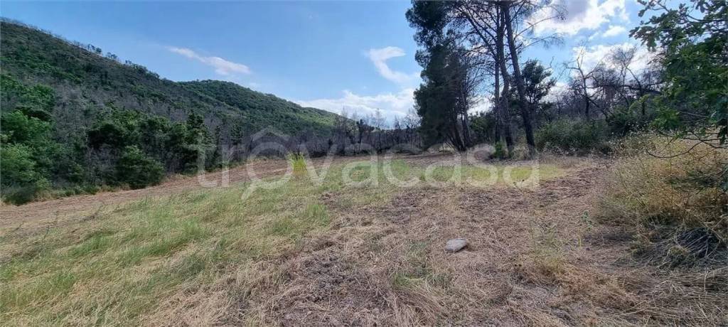 immagine annuncio 4 di 6