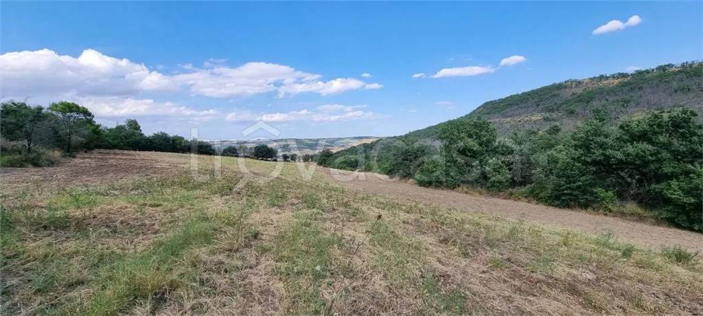 immagine annuncio 5 di 6