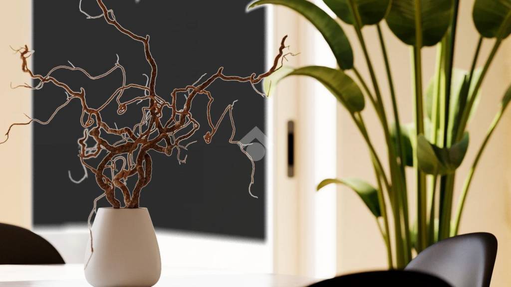 immagine annuncio 1 di 14