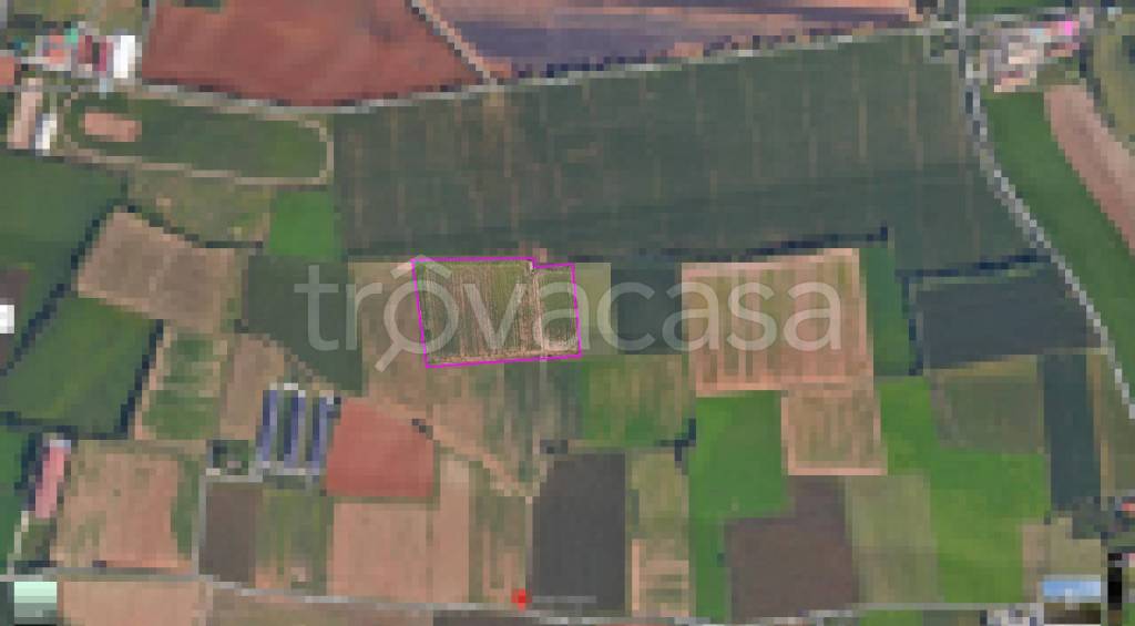 immagine annuncio 3 di 6