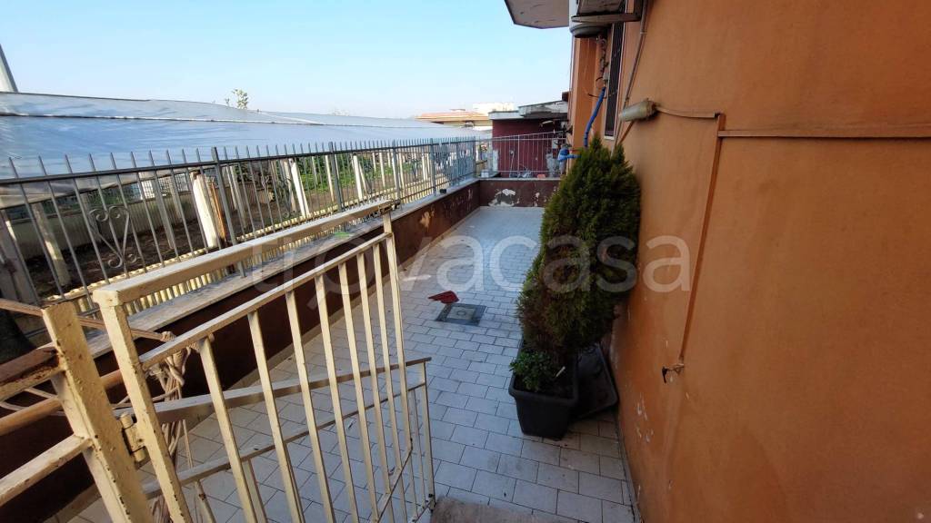 immagine annuncio 12 di 13