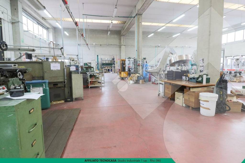 immagine annuncio 10 di 15