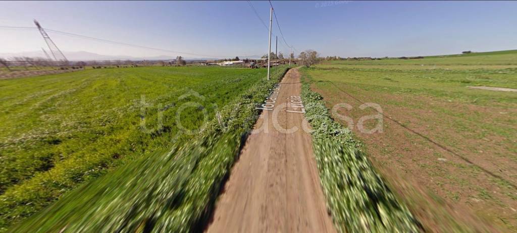 immagine annuncio 6 di 12