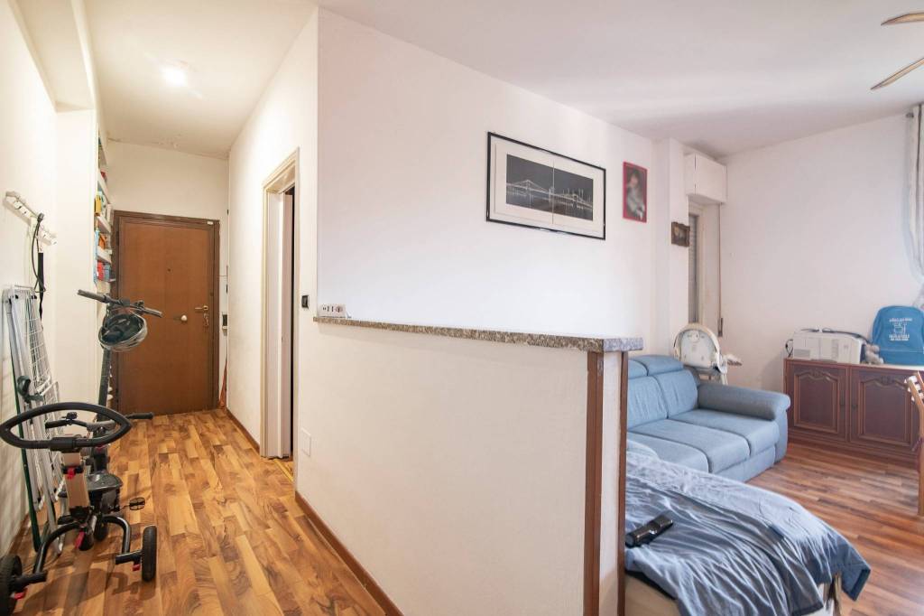 immagine annuncio 7 di 12