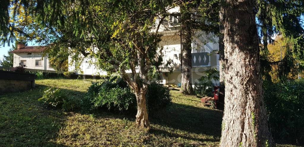 immagine annuncio 11 di 14