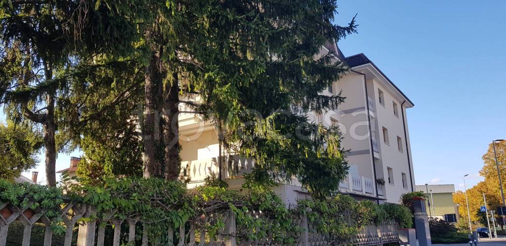 immagine annuncio 12 di 14