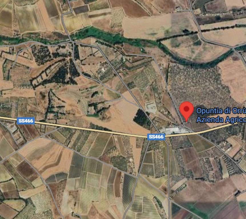 immagine annuncio 5 di 11